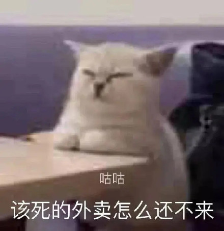 日常聊天救星！这套实用表情包合集直接封神