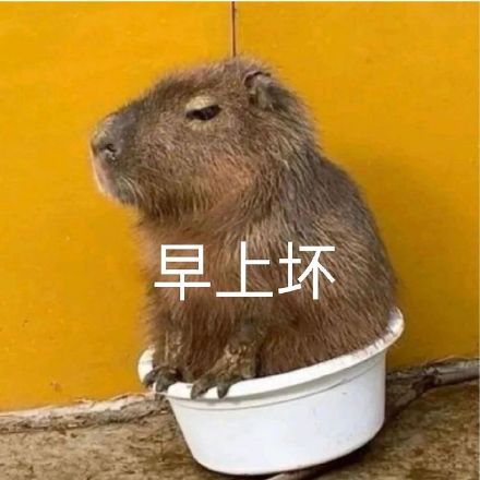 最近聊天斗图都在用的热门表情包整理