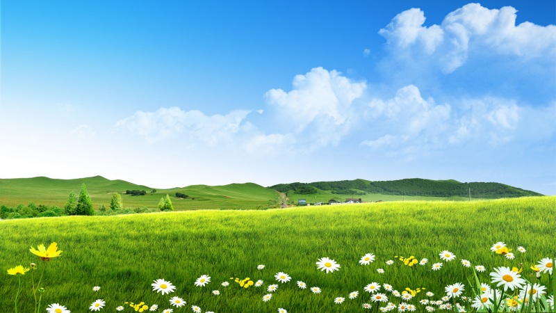 适合电脑用的蓝天白云绿草地小清新2K壁纸