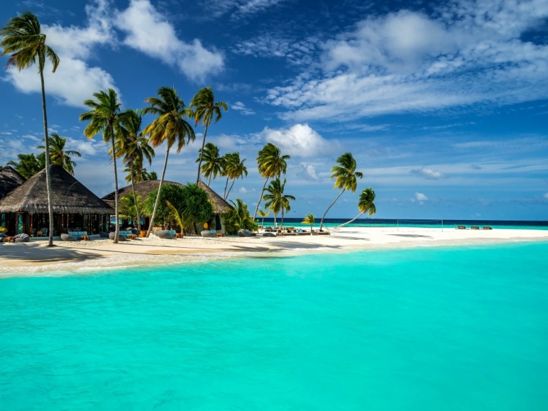 超治愈！马尔代夫热带海景树屋风景电脑壁纸分享