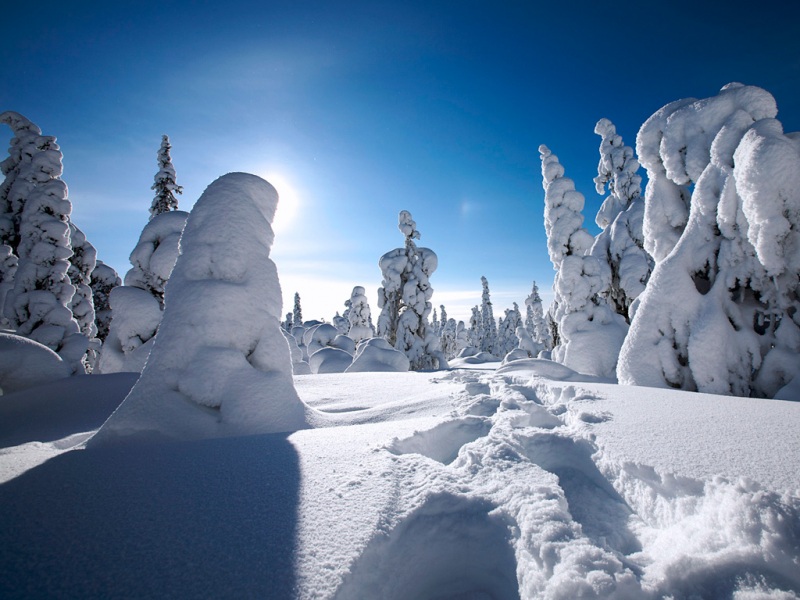 冬雪美景电脑宽屏壁纸 高清款来啦