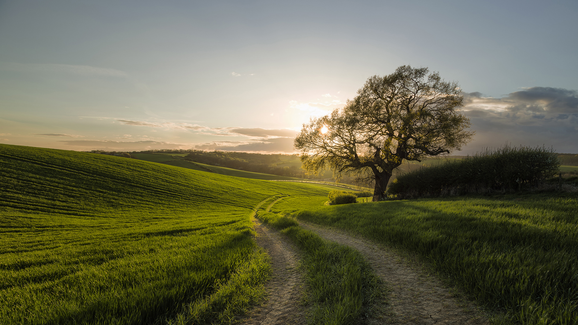 山间小路绿树草地 高清电脑桌面壁纸来了