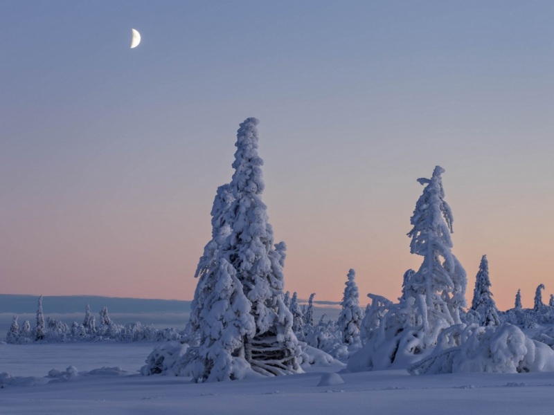 瑞典西博滕拉普兰冬季自然保护区风景电脑动漫壁纸