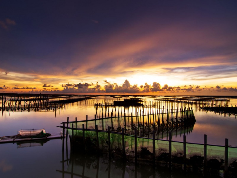 氛围感拉满！海边晚霞动漫风电脑桌面壁纸分享