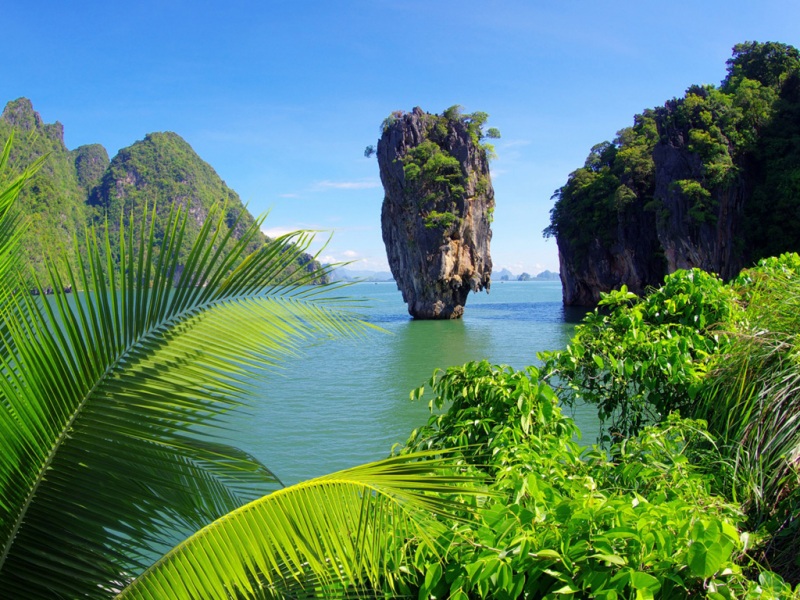 热带海洋岩石树木风景电脑动漫壁纸推荐