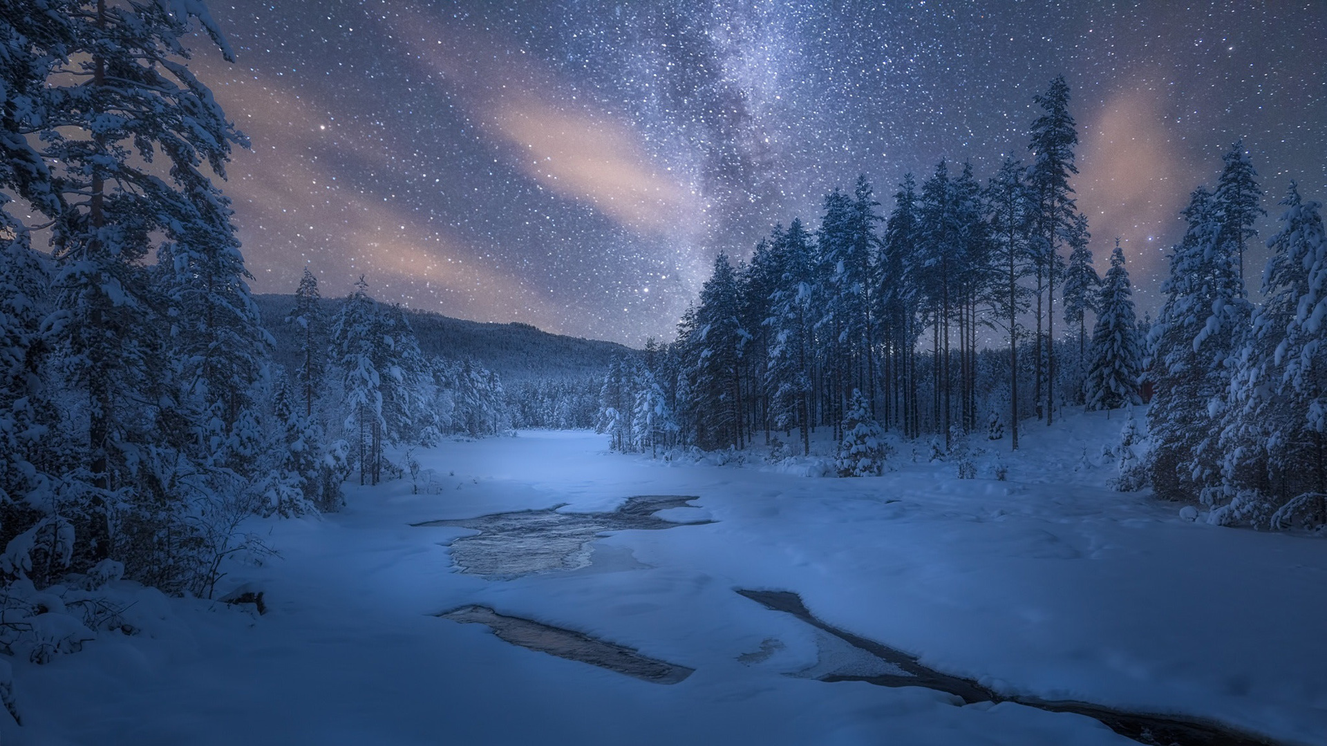 冬日氛围感拉满！夜景雪景树木电脑动漫壁纸合集
