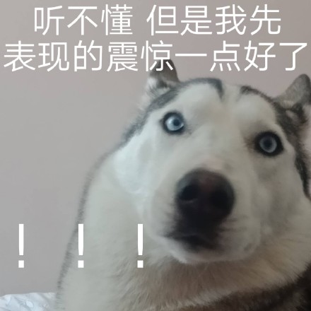 猫咪喵星人斗图表情包合集来啦