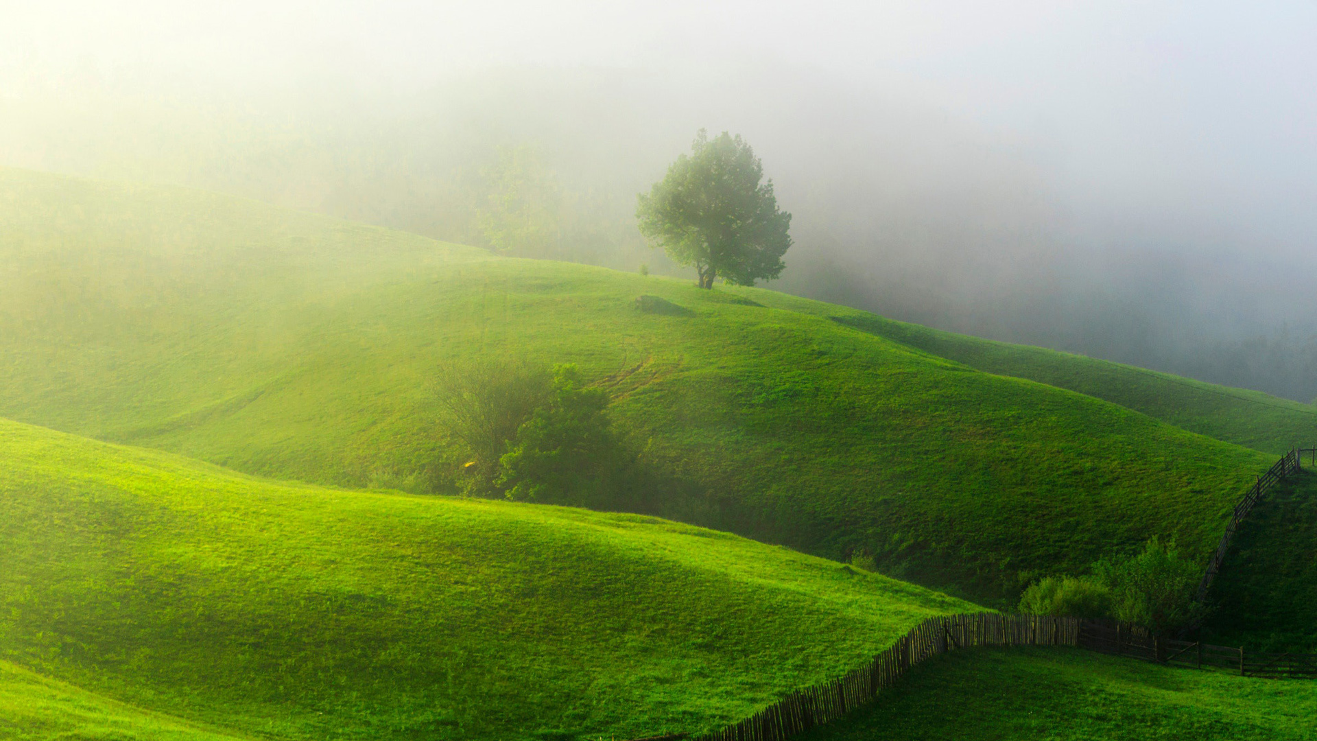 春日山丘雾中草地栅栏风景壁纸