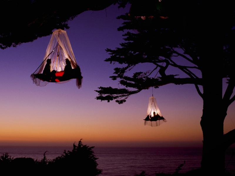 非洲情人树旅馆风景电脑桌面壁纸