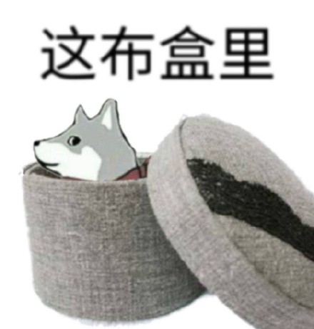 火出圈的“这河里吗”表情包到底啥梗？