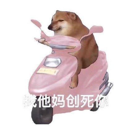 骑车狂飙的沙雕摩的狗表情包火了