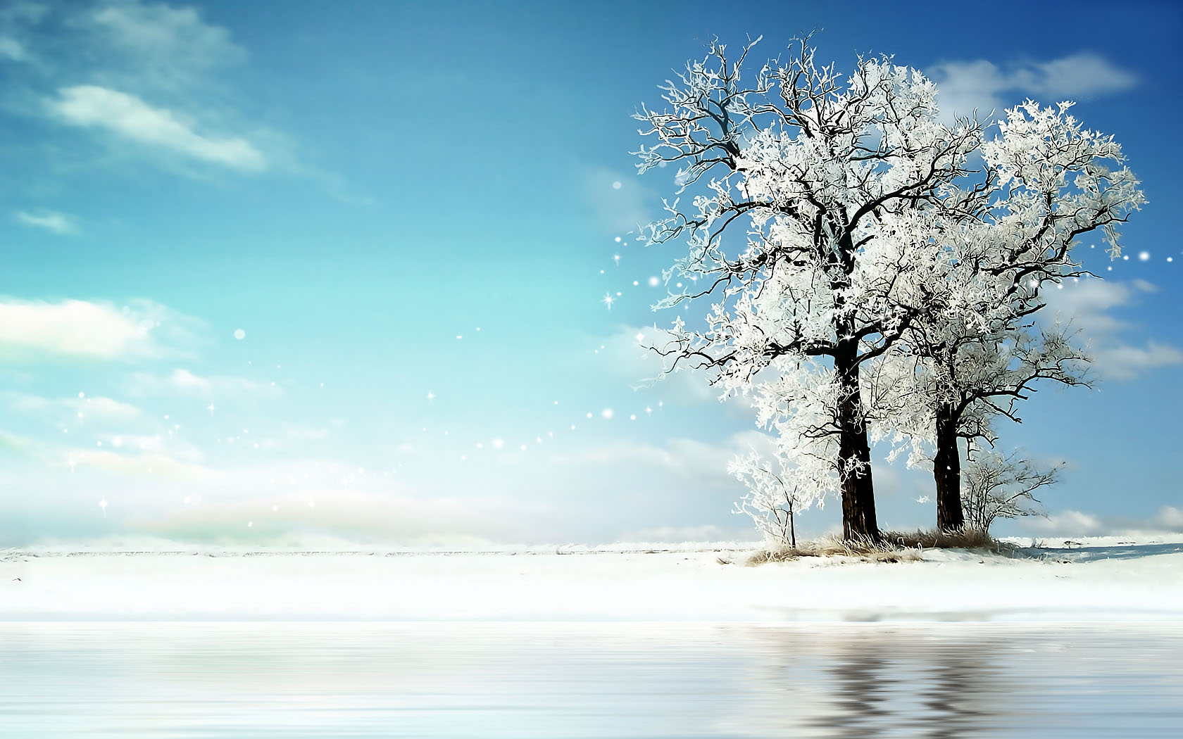 冬天树影桌面壁纸来啦，多款高清尺寸任你选