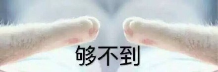 超萌喵星人牵手表情包来啦！这组“牵宝宝的手”也太治愈了