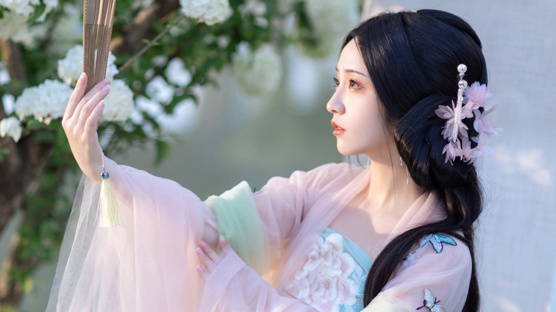古风古装美女侧脸高清壁纸 氛围感拉满