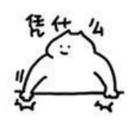 火出圈的“什么猫开门”表情包，原作者是FSS-张什么猫