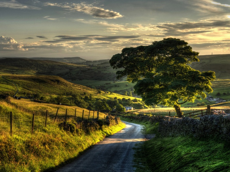 林间公路自然美景 多款尺寸宽屏电脑桌面壁纸