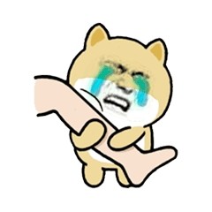 聊天斗图别愁！这套小黄狗表情刚好够用