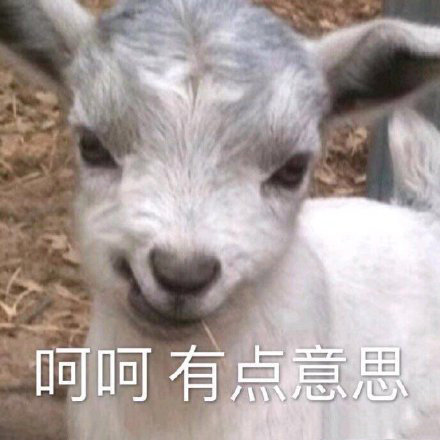 聊天斗图新选择！小羊表情包系列来啦