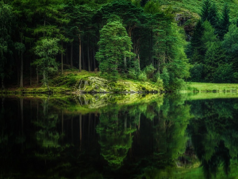 森林湖泊倒影桌面壁纸 清新自然风电脑屏保