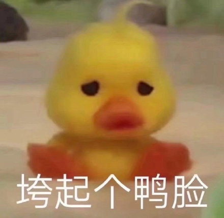 咋肥四鸭小黄鸭表情包来啦，斗图又有新素材啦