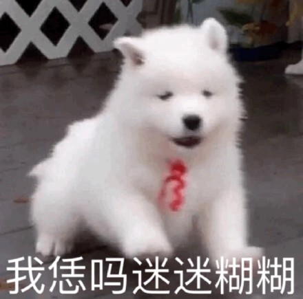 聊天斗图别愁！这套奇奇怪怪动物表情包太好用了
