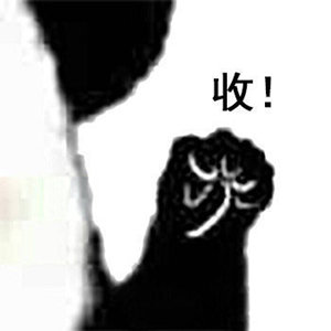今天的斗图素材来啦！熊猫头表情包合集
