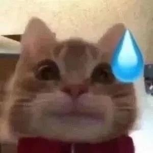 歪嘴猫猫表情包合集来啦