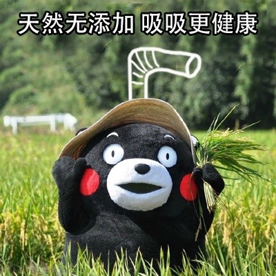 谁懂啊！这套熊本熊“吸熊”表情包太会撩了