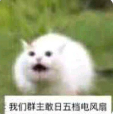 我们群主敢。。。表情包合集