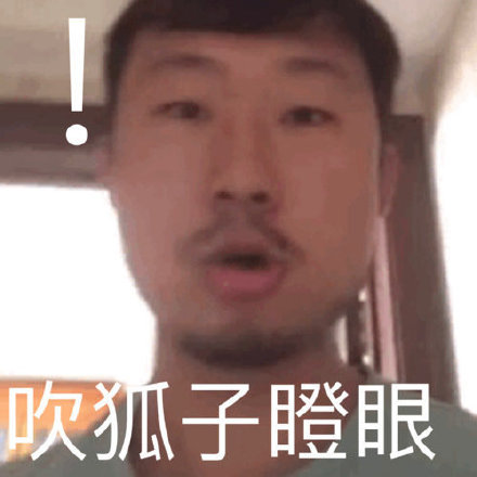 藏狐狐主任小亮表情包来啦，斗图又有新素材了