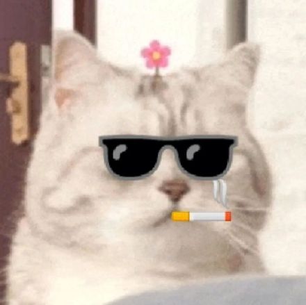 刷到就存！超治愈可爱微笑小猫斗图表情包合集