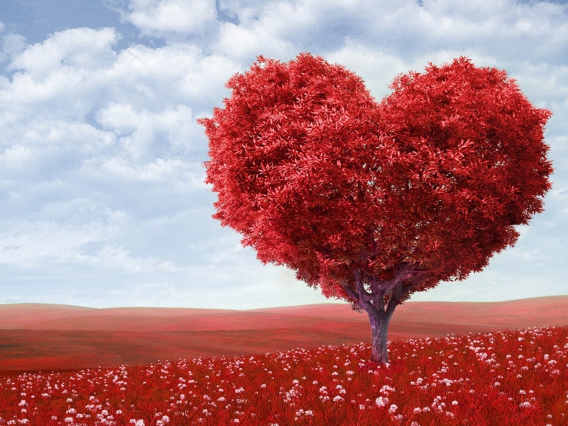 情人节爱心树风景电脑壁纸 多款高清尺寸可选