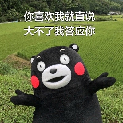 用熊本熊撩妹撩汉！这套表情包太会了