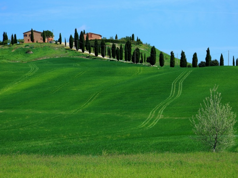 托斯卡纳山野治愈风！意大利超高清风景电脑壁纸来了