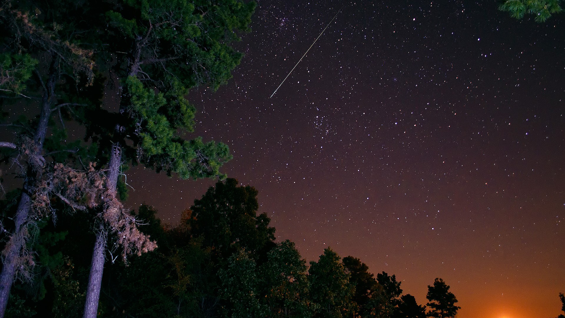 夜晚星空森林松树 多款高清电脑桌面壁纸来啦