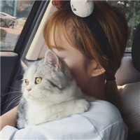 42张抱猫情侣头像来啦！一男一女超有爱超好看