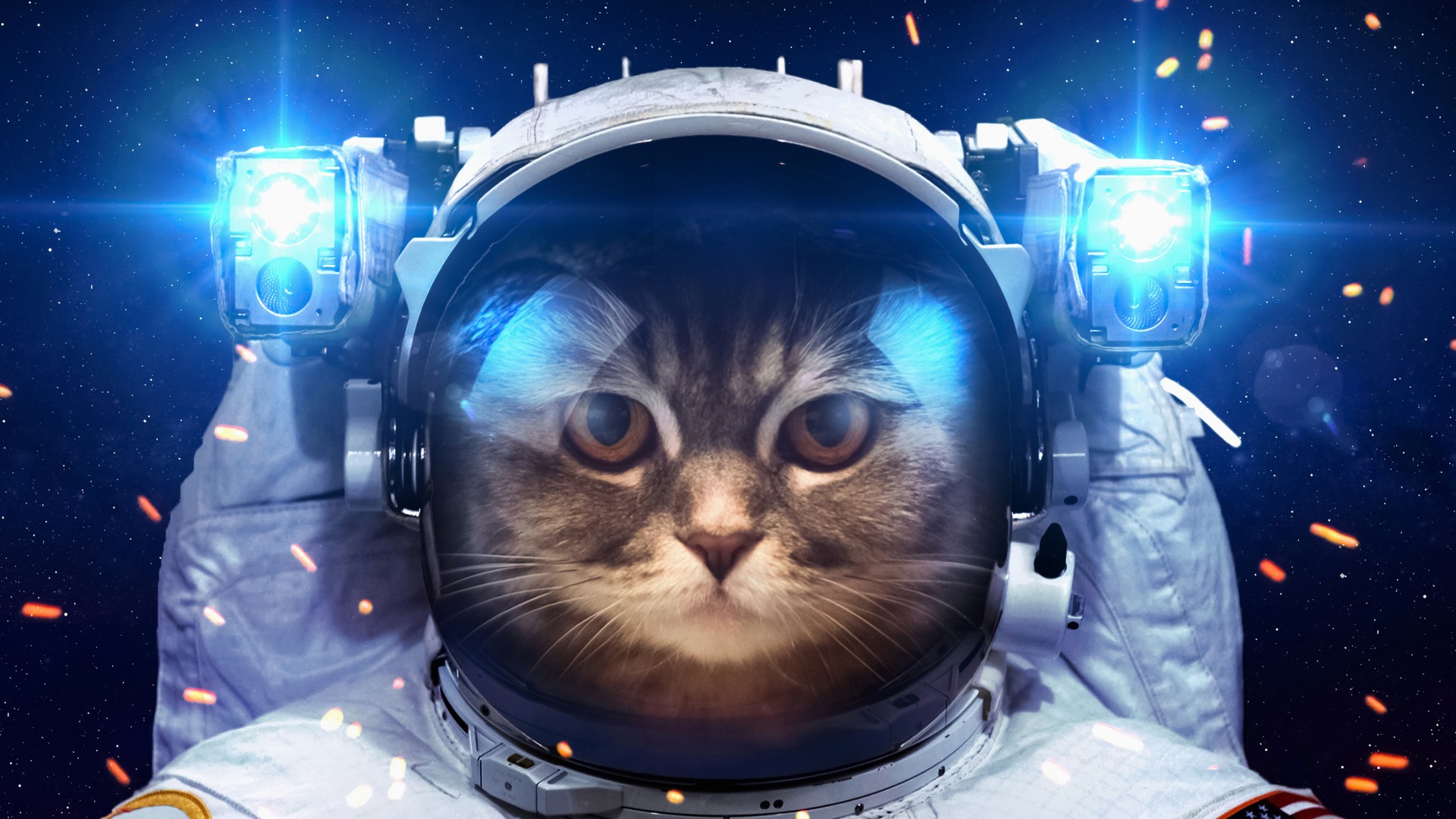 宇航员猫咪太空壁纸！带手电的萌宠电脑桌面安排上