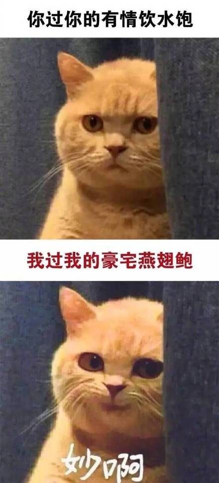 这款“真是妙啊”表情包火了，怼人摆烂都能用
