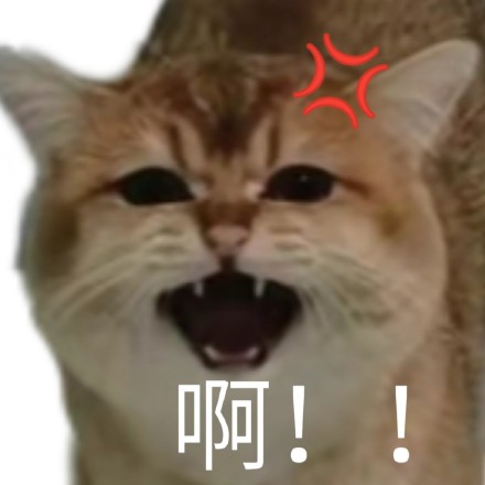 好用的奇怪猫猫狗狗斗图表情包合集