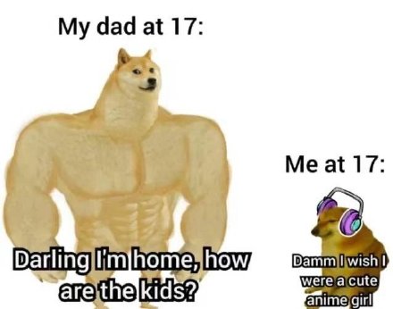 肌肉Doge和小废狗表情包来了，斗图必备！