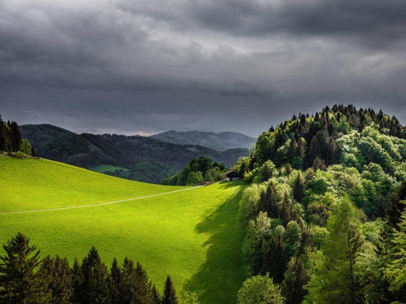 春日山野林间路景电脑壁纸