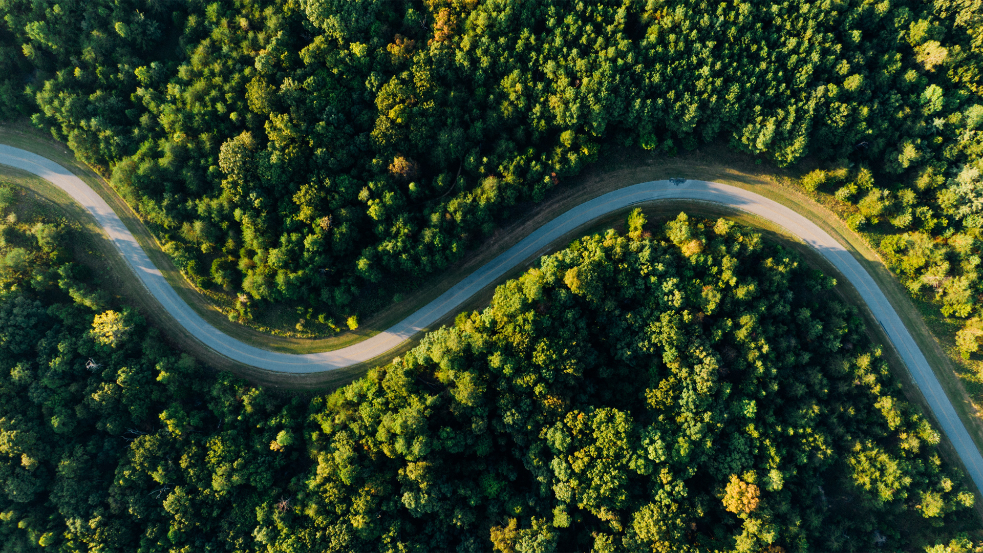 护眼又治愈！森林公路航拍风景壁纸合集