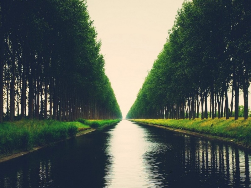 绿树河流风景壁纸合集 多尺寸高清任你选