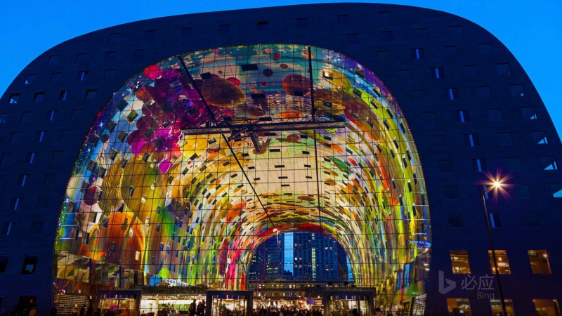 荷兰鹿特丹大型拱廊市场电脑桌面壁纸来了