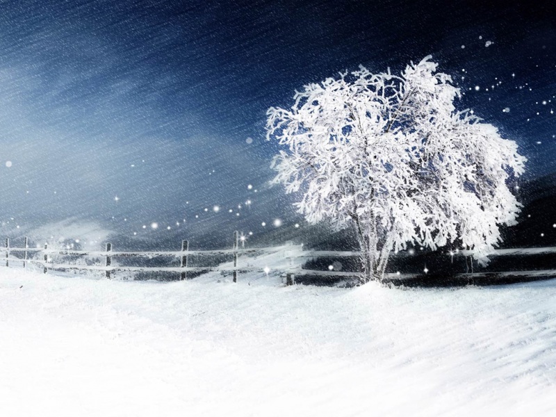 雪夜氛围感拉满的电脑动漫壁纸来了