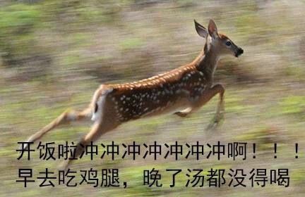 开饭啦！快喊上搭子一起冲这组表情包