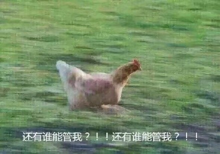 高考结束啦！这套「溜去浪」表情包刚好适配你的心情