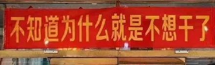 最近聊天总在用的斗图表情包合集