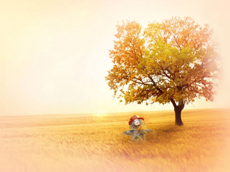 深秋麦田动漫风电脑桌面壁纸来啦