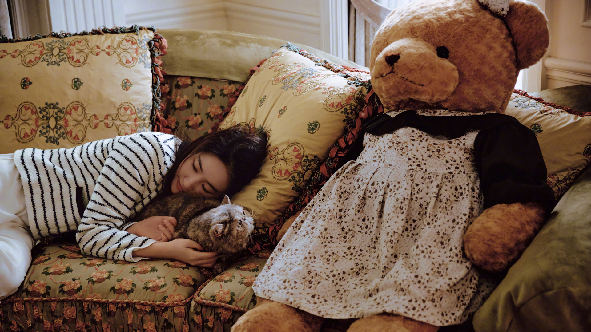 刘亦菲抱着猫和毛绒玩具的高清电脑壁纸来了